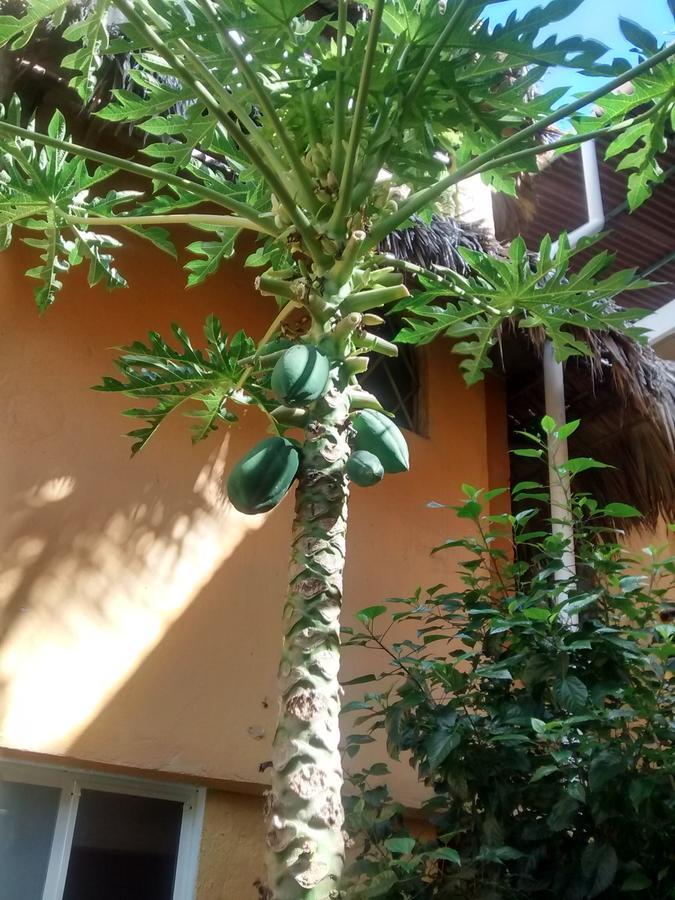 Hotel Papaya Surf Puerto Escondido Kültér fotó